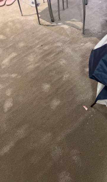 Flooded apartment carpet before drying — real drySafe job